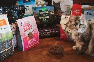 Read more about the article Best cat food brands offer high-quality nutrition and taste for feline health