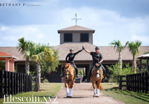 Read more about the article Luxury Equine Training Facilities: World-Class Environments for Top Performance