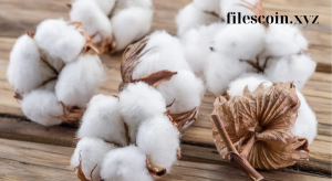 Read more about the article Cotton Textile Properties: Exploring the Characteristics of Cotton Textiles